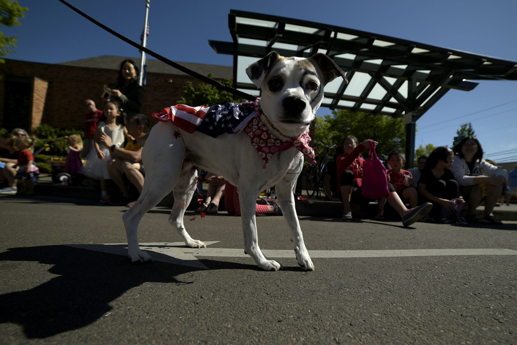 070517-cgt-nws-parade-009.jpg
